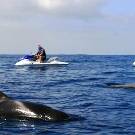 Ocean View Cactus I , Over Cristianos, Playa Vistas Los Cristianos (Tenerife)