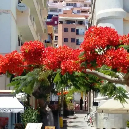 Ocean View Cactus I , Over Cristianos, Playa Vistas