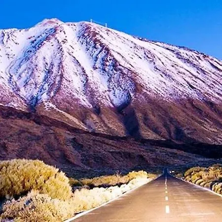 公寓 Ocean View Cactus I , Over Cristianos, Playa Vistas 洛斯克里斯蒂亚诺斯