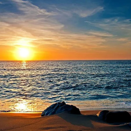 Ocean View Cactus I , Over Cristianos, Playa Vistas 公寓