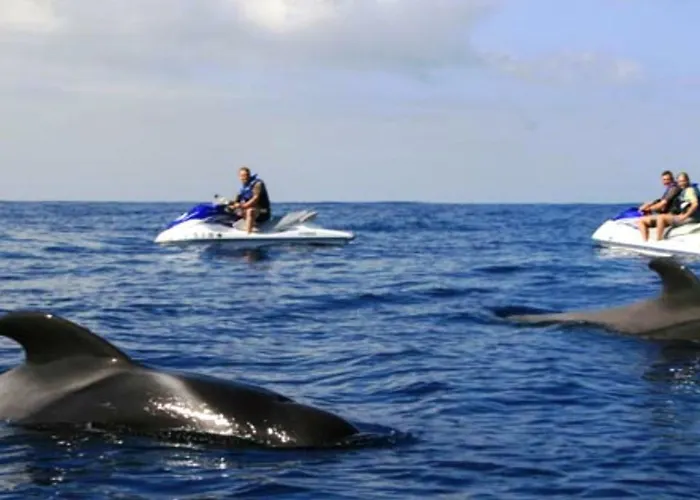 Ocean View Cactus I , Over Cristianos, Playa Vistas Лос Кристианос